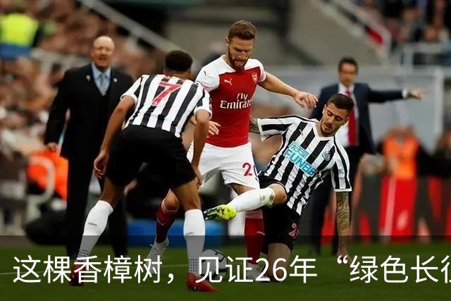 这棵香樟树，见证26年“绿色长征”